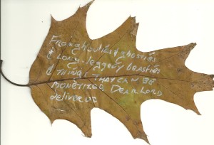 swanwick-leaf-poem