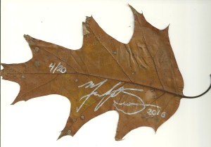 swanwick-leaf-sig